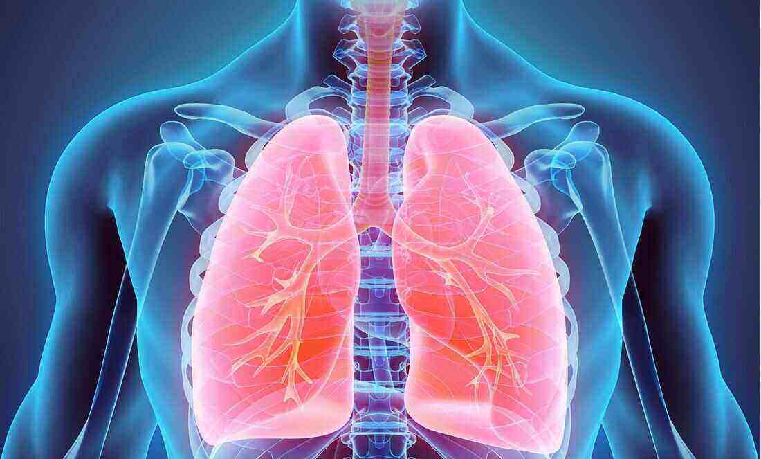Zwei weitere Verdachtsfälle der Tuberkulose in Chemnitz bestätigt