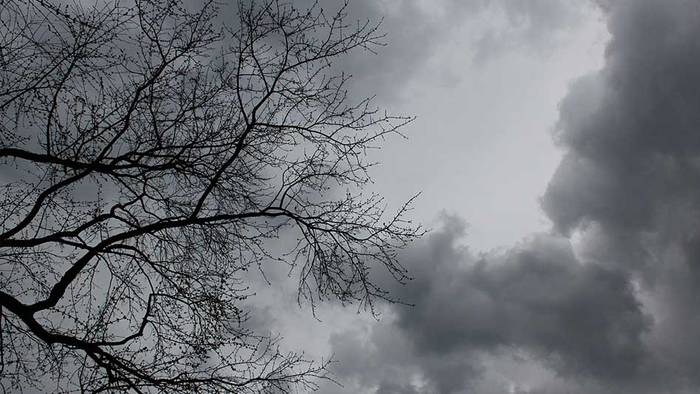 Deutscher Wetterdienst: Viele Wolken und milde Temperaturen