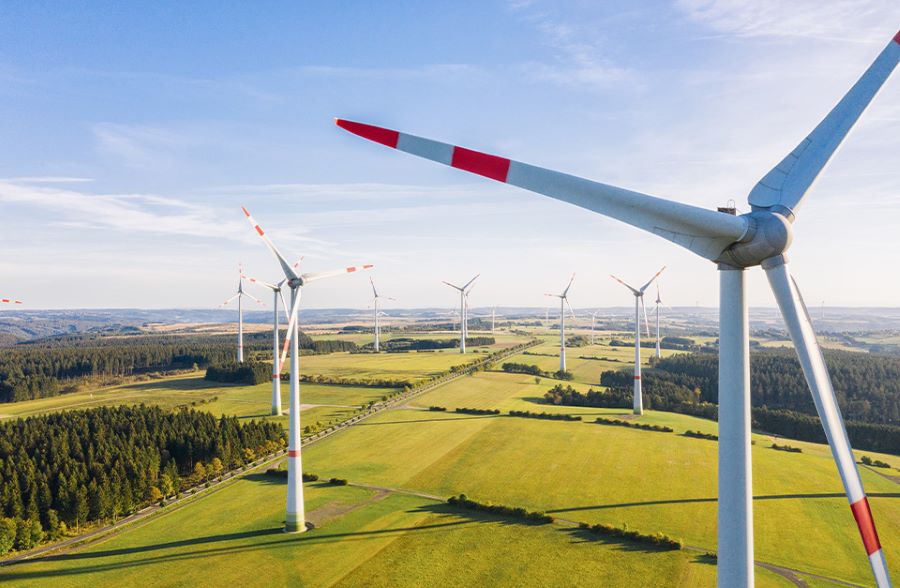 Nabu sieht den Artenschutz beim Ausbau der Windenergie in Deutschland nicht genügend berücksichtigt