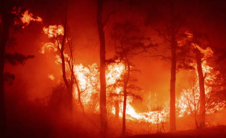 USA - New Jersey: Die Pine Barrens steht in Flammen