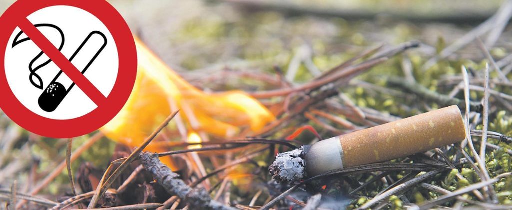 Frankreich will das Rauchen in allen Wäldern während der Waldbrandsaison verbieten