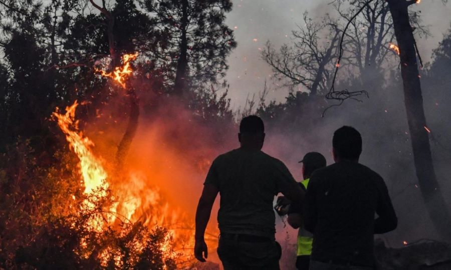 Bei Waldbränden in Algerien kommen Dutzende Menschen ums Leben darunter zehn Soldaten