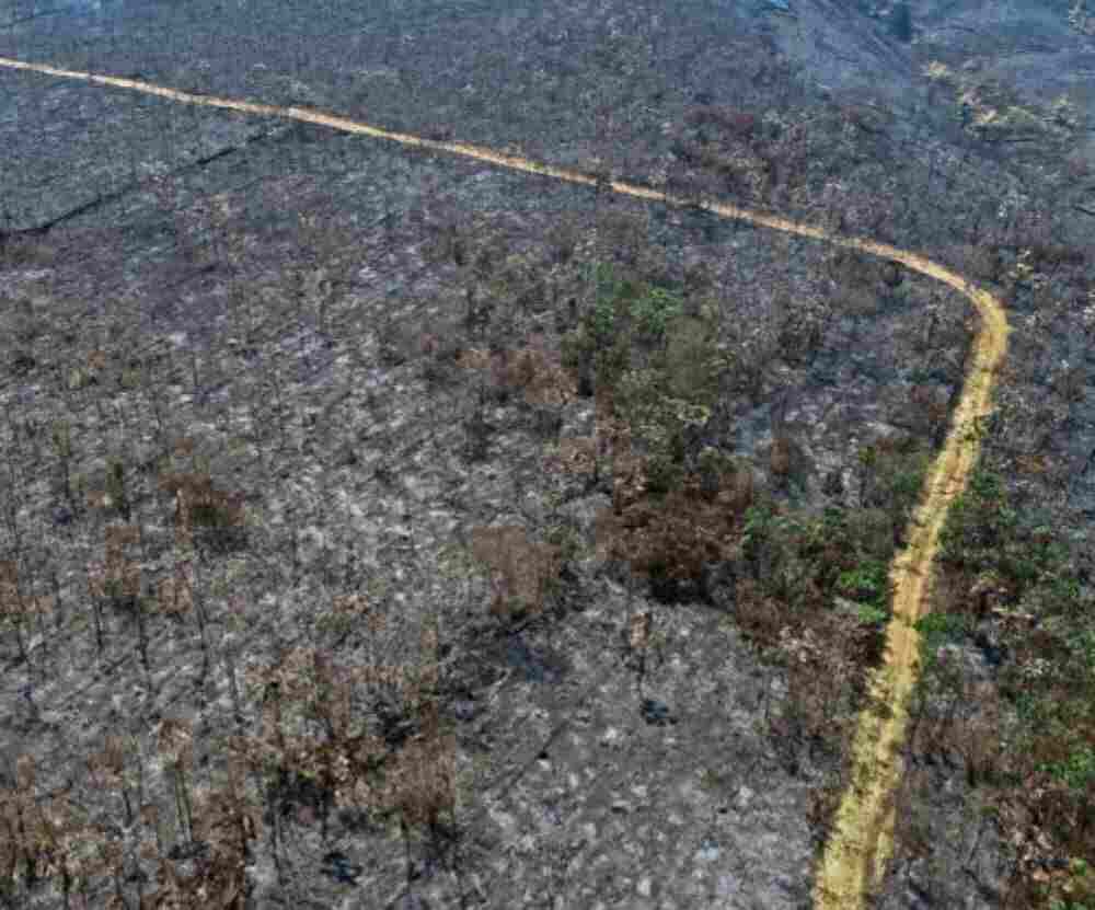 Brandstiftung legt Amazonas-Aufforstungsprojekt in Schutt und Asche