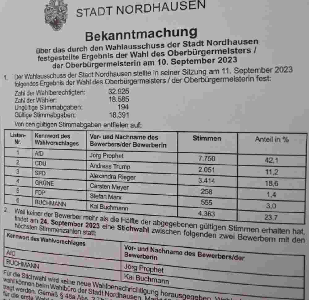 Ein Bürgermeisterwahlkampf in einer Kleinstadt verdeutlicht den Aufstieg der rechtsextremen AfD in Deutschland