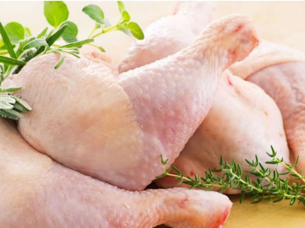 Über 300 Salmonellen­fälle in Verbindung mit Hühnerfleisch