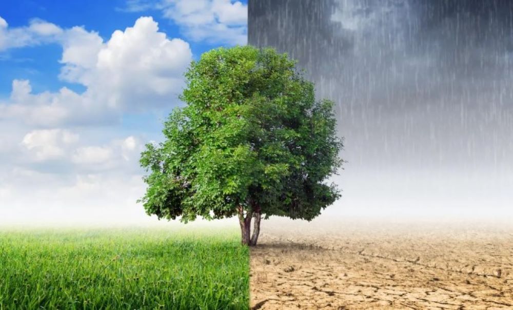 Wie der Klimawandel Millionen Menschen krank macht