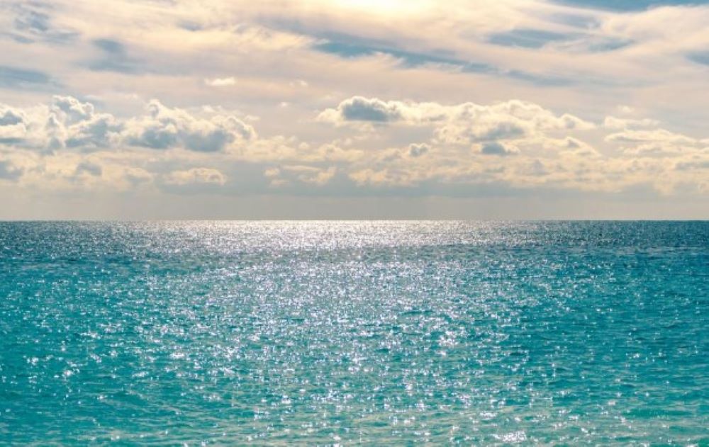 IOW-Chef: Klimawandel trägt zur Verdunklung der Meere bei