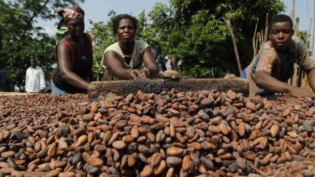 Der glühend heiße Kakaopreis schmilzt den Gewinn eines führenden Schokoladenherstellers