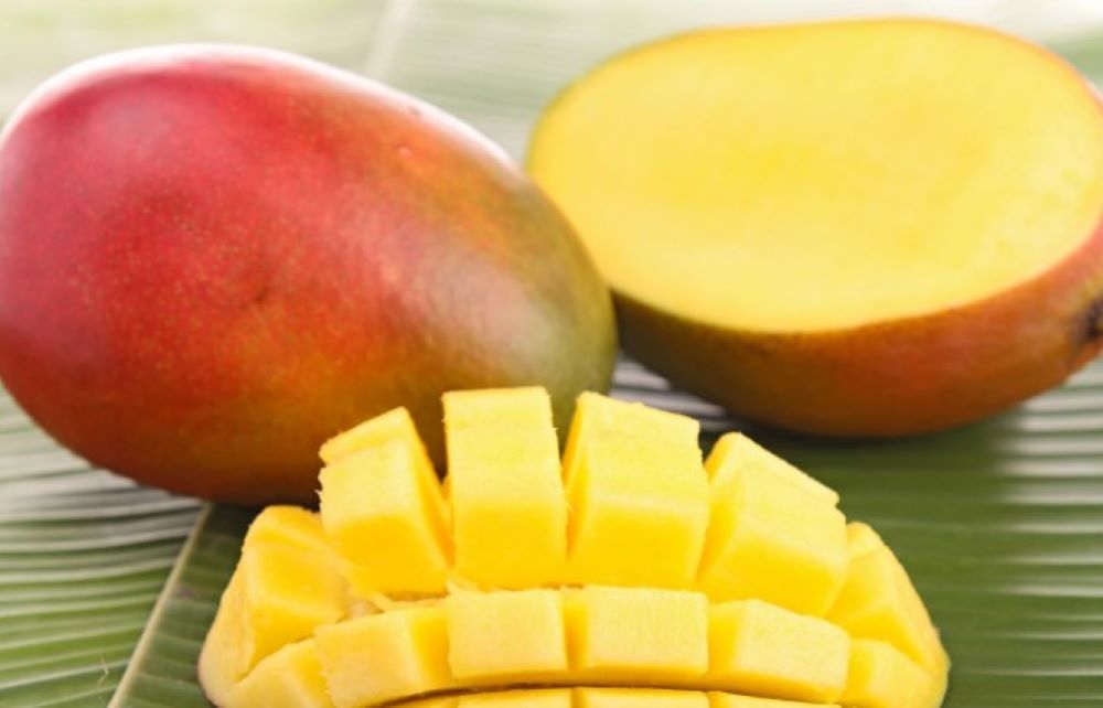 Klimawandel führt zu drastischen Ernteeinbußen bei pakistanischen Mangos