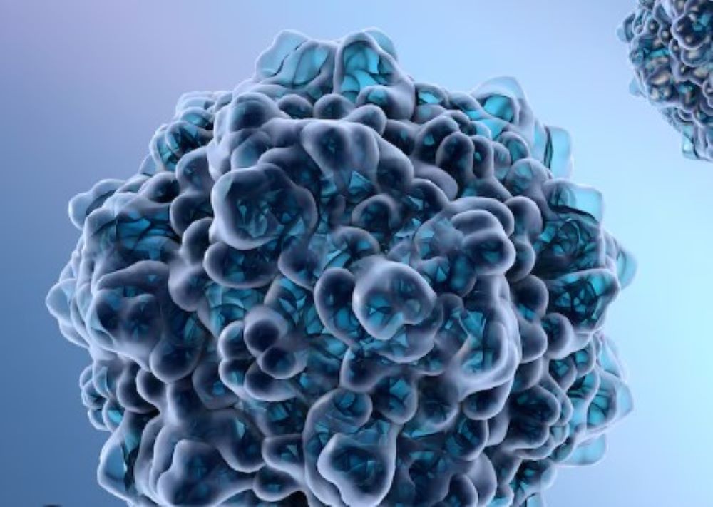 Steigende Ringelröteln-Fälle in Europa: Schwangere besonders gefährdet