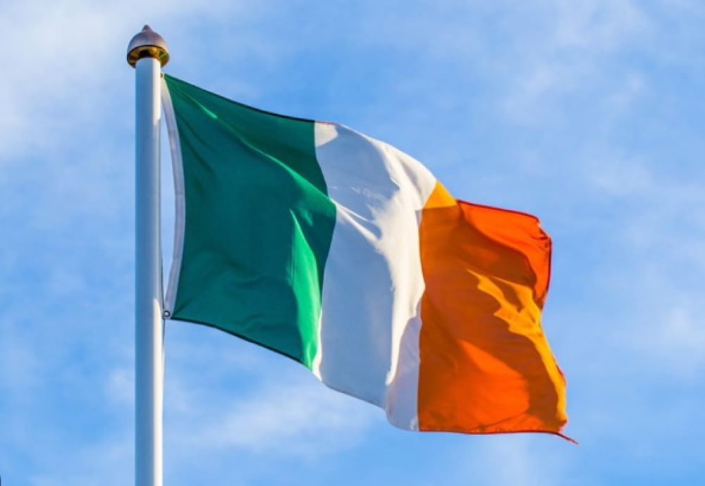 Rekordzahl rechts-extremer Kandidaten bei Kommunal- und Europawahlen in Irland